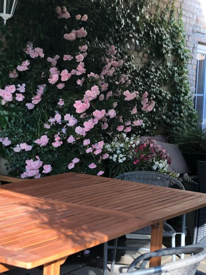 Ferienwohnung In Werder Havel Innenstadt 外观 照片