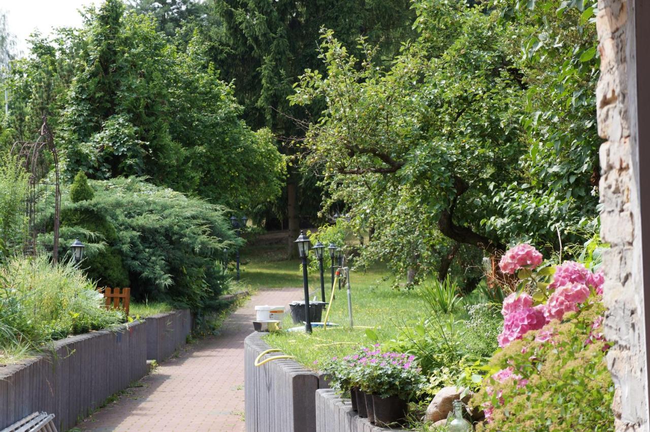 Ferienwohnung In Werder Havel Innenstadt 外观 照片
